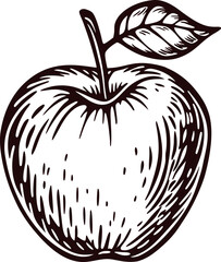 Hand drawn vintage apple illustration with detailed leaf and stem sketch in classic engraved
