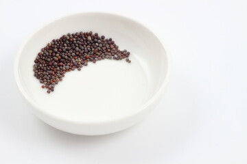 小株の種、シンプルな成長の始まり。