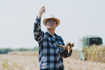 The owner of the corn field is analyzing the harvested corn.