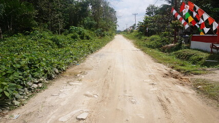 A rural dirt road lined with lush vegetation