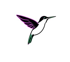 Obraz premium Hummingbird illustration vector art flying bird design wildlife drawing nature animal graphic isolated vibrant