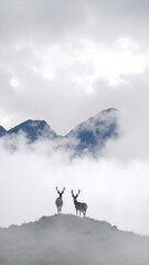 Two graceful deer stand atop a lush green hill, their elegant forms silhouetted against a vibrant sunset sky, surrounded by wildflowers and tall grass.