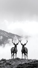 Two graceful deer stand on a lush green hill, their ears perked up, with majestic snow-capped mountains rising dramatically in the background.
