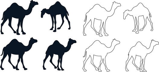  Camel icon set in black silhouette and outline, vector format.