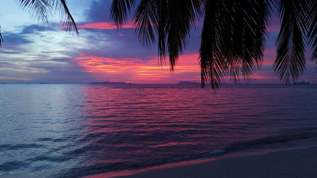 Palm leaves framing vivid sunset seascape. Palm trees silhouettes framing beautiful pink and purple sunset over ocean with a cruise ship sailing in distance and waves gently lapping on sandy shore