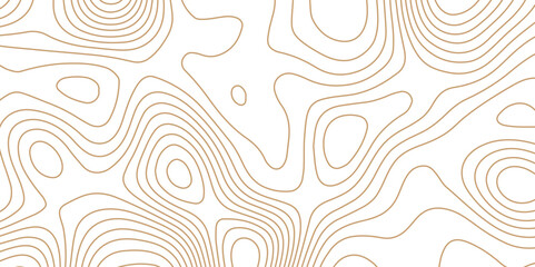 3d white papercut topography relief. Cover layout template. abstract realistic papercut decoration with wavy layers. World Map Vintage Old-Style. Transparent PNG. Topographic map background geographic