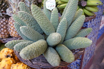 The pineapple banana, also known as Monstera deliciosa, is an exotic fruit native to Madeira. Sano...