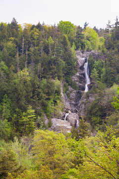 Roaring Brook Falls and green trees