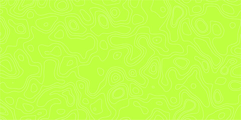 The Silent Map of Wonder

