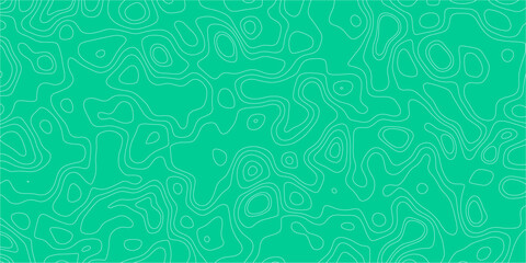 The Silent Map of Wonder

