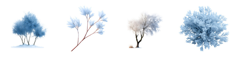 Naklejka premium Winter Tree Collection: Icy Blue Trees and Bushes on White Background