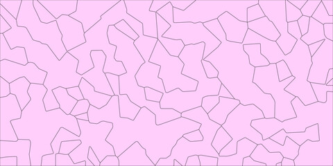 Web of Splintered Lines

