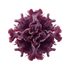 Intricate Floral Pattern with Swirling Petals in Deep Rose and Mauve Tones on a White Background Transparent background or png