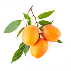 Fresh ripe apricots with green leaves on white background  