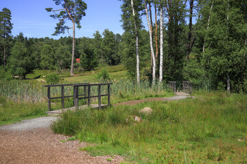 A wooden bridge in the Büsenbach valley in the Lüneburg Heath, Lower Saxony, Germany
