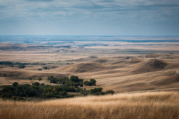 Fototapeta premium capture essence of summer landscapes and nature across diverse cities in canada showcasing mesmerizing prairie