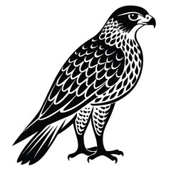 Fototapeta premium Hawk single bird vector shilhouette 