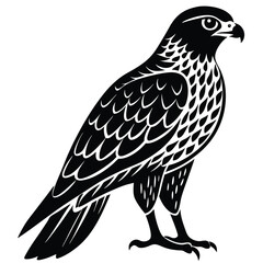 Fototapeta premium Hawk single bird vector shilhouette 