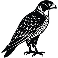 Fototapeta premium Hawk single bird vector shilhouette 