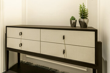 A modern dark wood console table with four light shagreen drawers and minimalist handles, decorated...