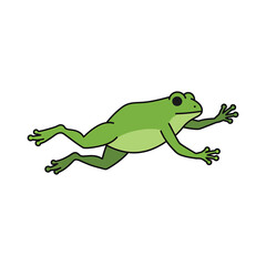 Fototapeta premium A playful green cartoon frog midleap