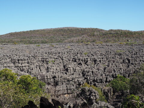 parc ankarana rochers tsingy gris