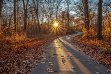 Fototapeta premium Sun rays illuminate winding road through autumn woods at sunrise, Sun Rays Glow On Road Through Woods