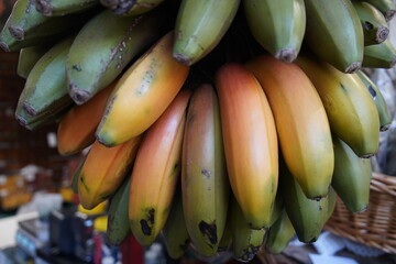 Tropical fruits growing on the island of Madeira in Portugal. Madeira, Portugal.