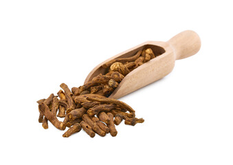 closeup pile of dry dandelion root herb for loose tea in wood bowl cutout