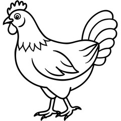 Stylized Hen Sketch