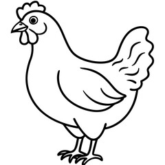 Stylized Hen Sketch