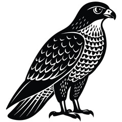 Fototapeta premium Hawk single bird vector shilhouette 
