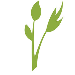 Young plant with vibrant green leaves, representing new beginnings and harmony with nature.