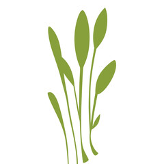 Green grass with long leaves symbolizing freshness and vitality in a natural setting.