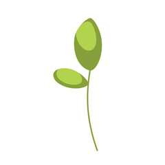 Young plant with vibrant green leaves, representing new beginnings and harmony with nature.