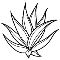 Aloe Vera line art vector