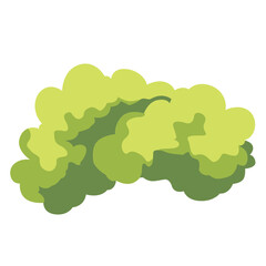 Neatly trimmed green grass showcasing order and tranquility in a natural setting.