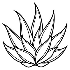 Aloe Vera line art vector