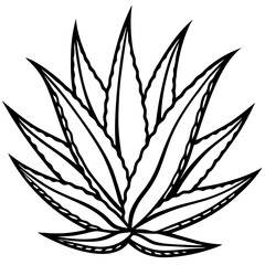 Aloe Vera line art vector