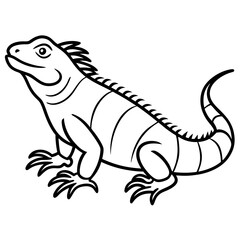 Stylized Iguana Linework