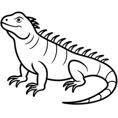 Stylized Iguana Linework