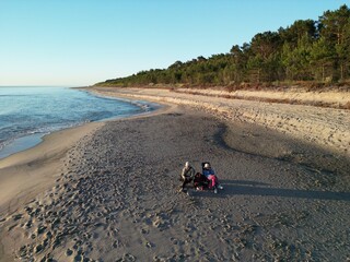 Serene beach scene with people relaxing on sandy shore surrounded by forest and calm ocean waters