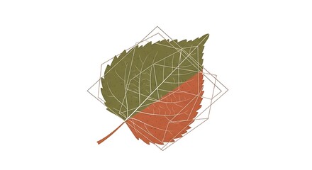 Geometric Autumn Leaf Illustration Fall Foliage Design Element