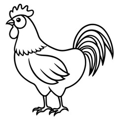 Stylized Rooster Sketch
