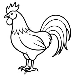 Stylized Rooster Sketch