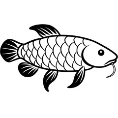 Arowana line art vector