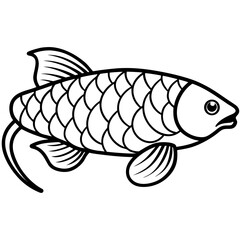 Arowana line art vector
