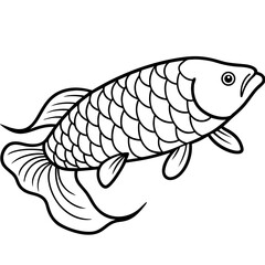 Arowana line art vector