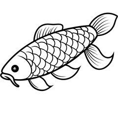 Arowana line art vector