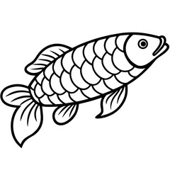 Arowana line art vector